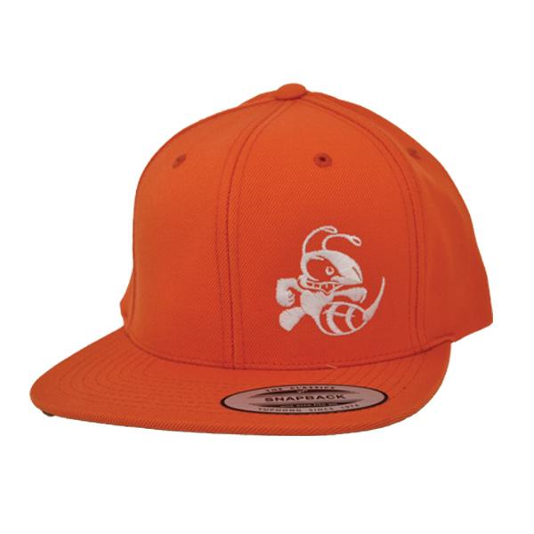 Discraft Snapback Buzzz Hat (Adjustable Size)