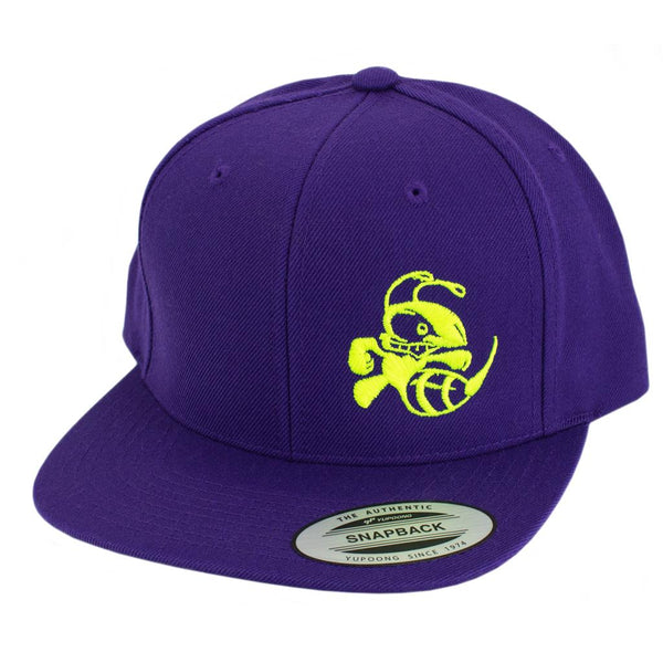 Discraft Snapback Buzzz Hat (Adjustable Size)